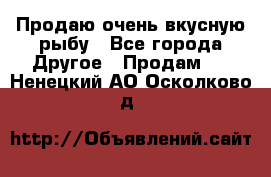 Продаю очень вкусную рыбу - Все города Другое » Продам   . Ненецкий АО,Осколково д.